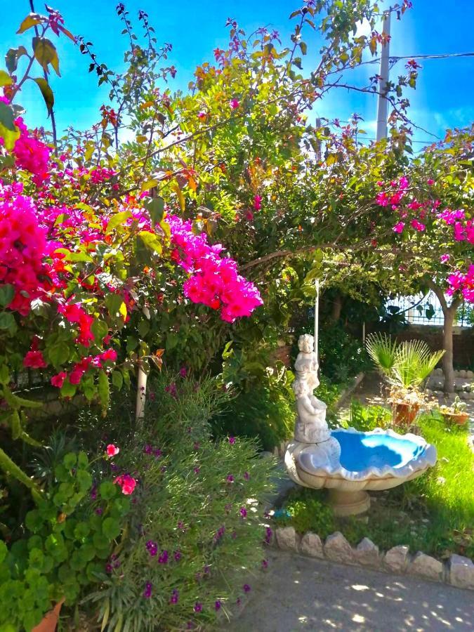 Villa Tripepi Bova Marina Kültér fotó